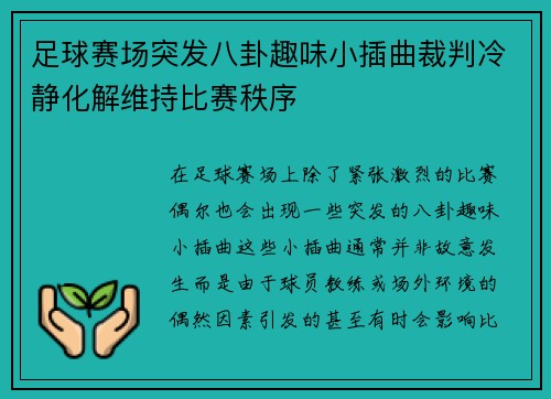 足球赛场突发八卦趣味小插曲裁判冷静化解维持比赛秩序