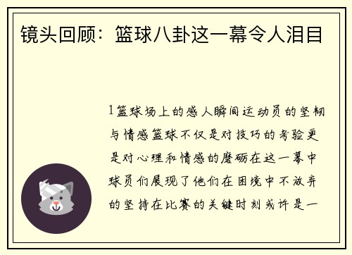 镜头回顾：篮球八卦这一幕令人泪目